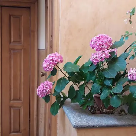 Apartment In The Heart Of Turin